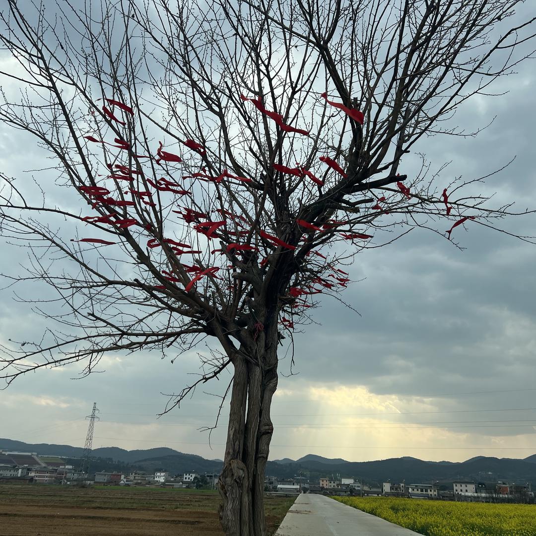 小飞二手手机