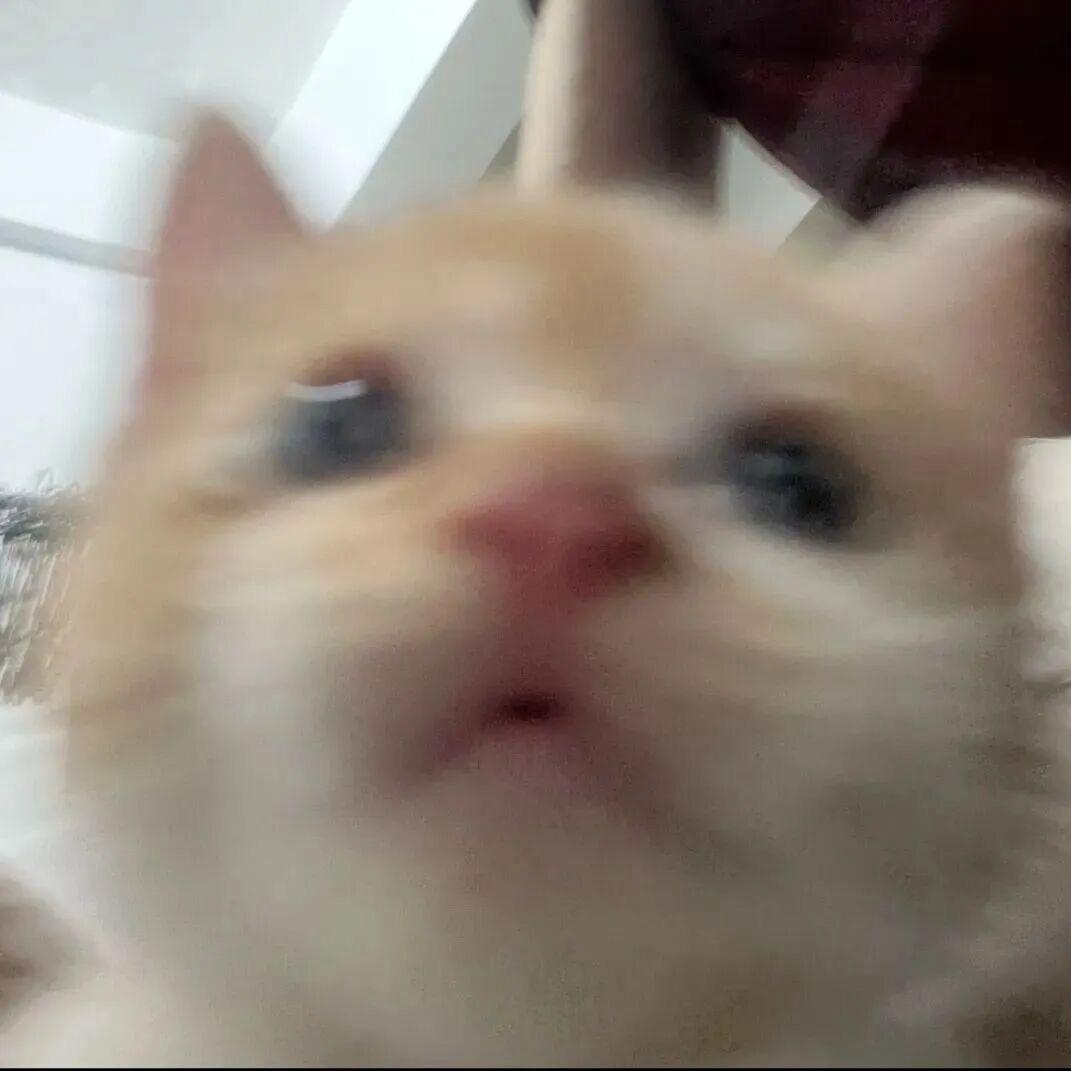 土豆杀手