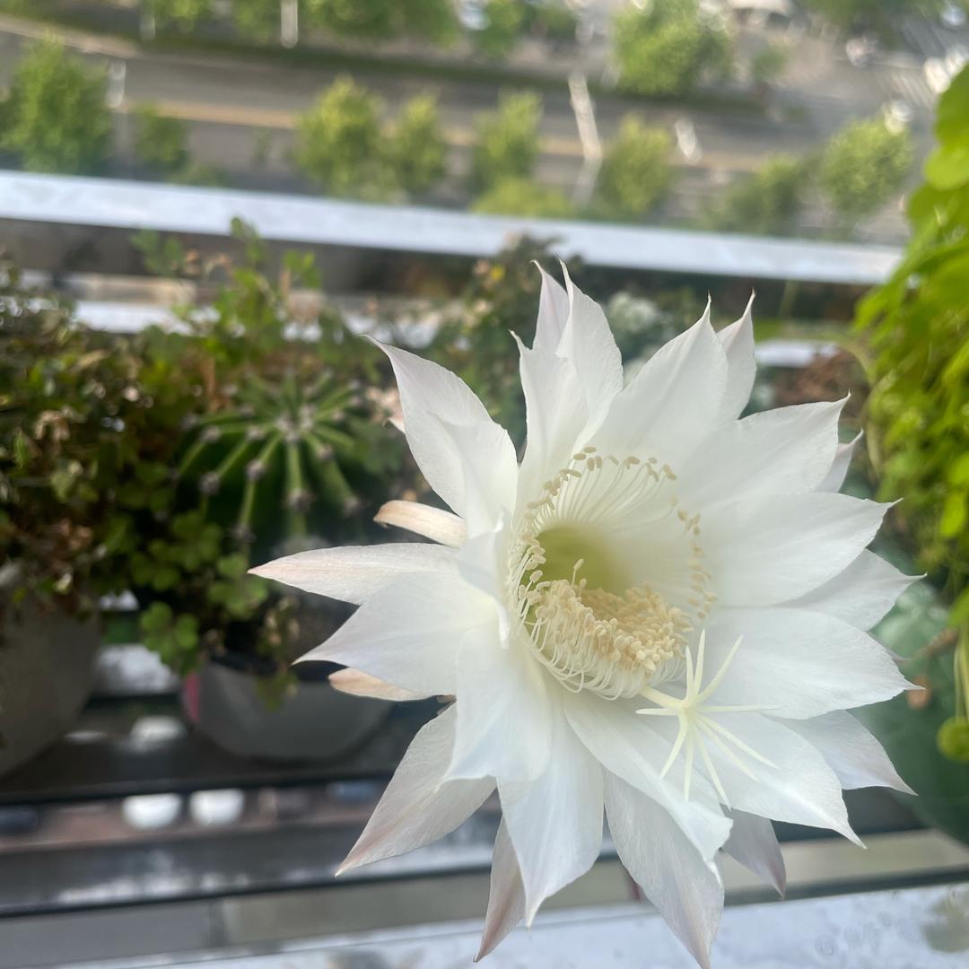 漫漫哟