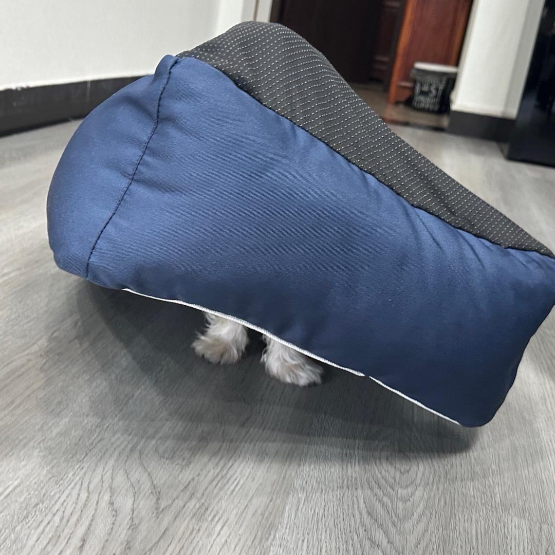 乐子