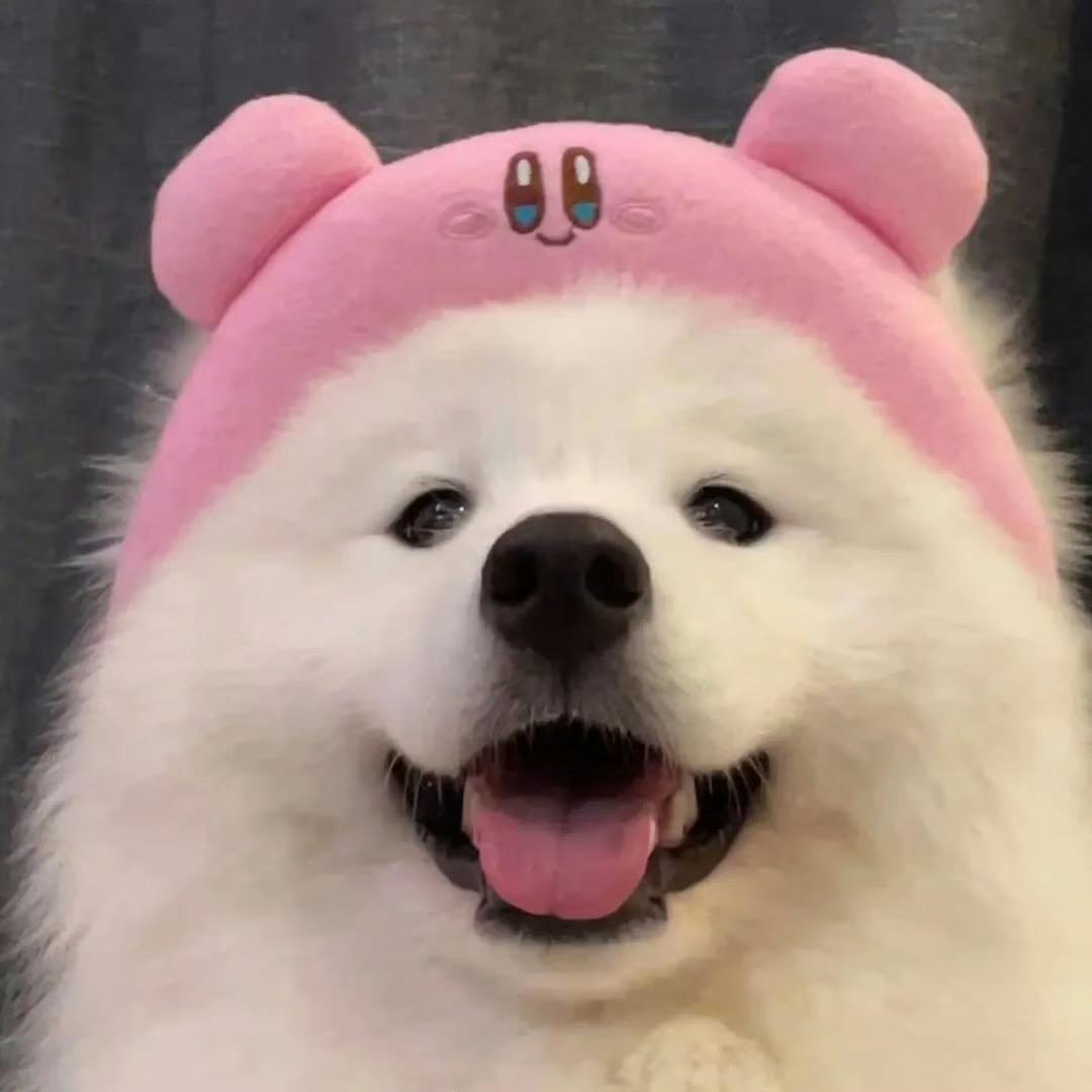 2.0（跟李不甜一起放过二踢脚版