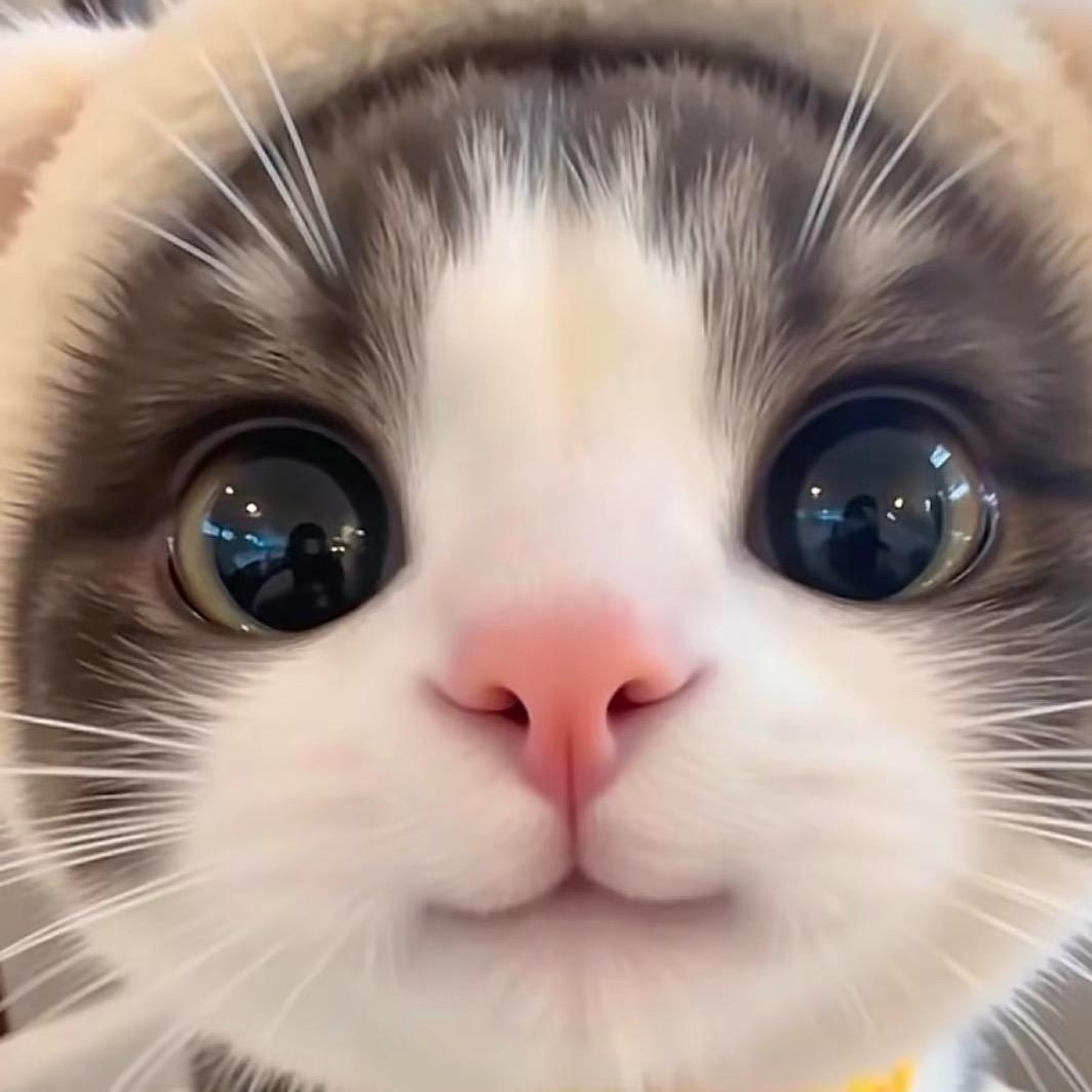 晓晗😽
