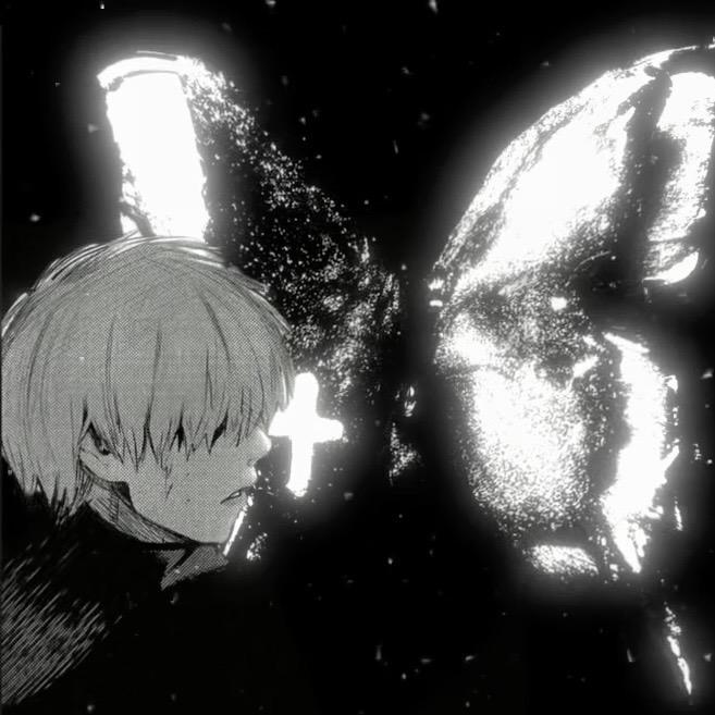 木鱼花
