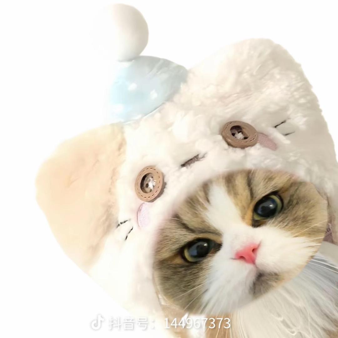 熙熙子💰🌸