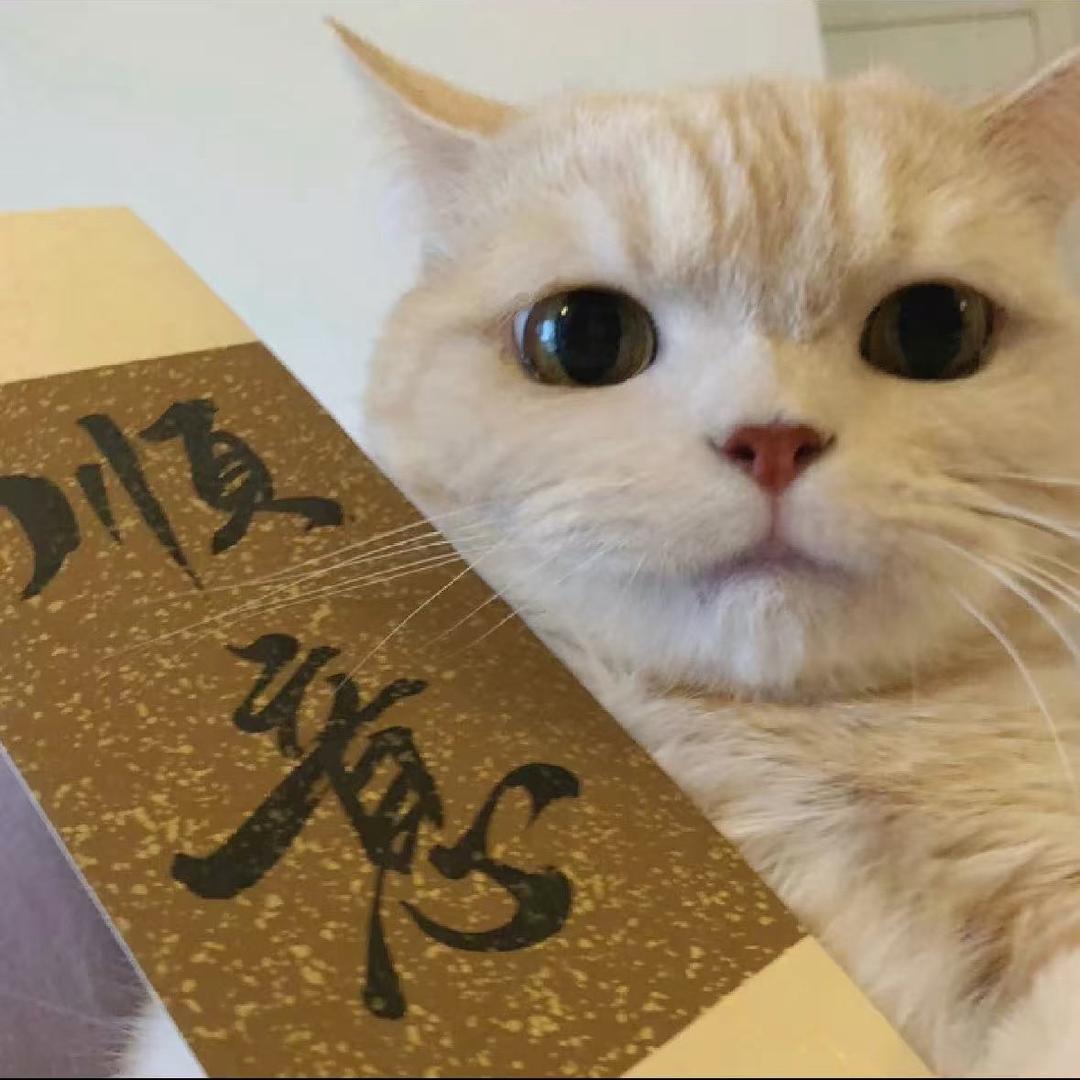 踹踹麻麻🥰