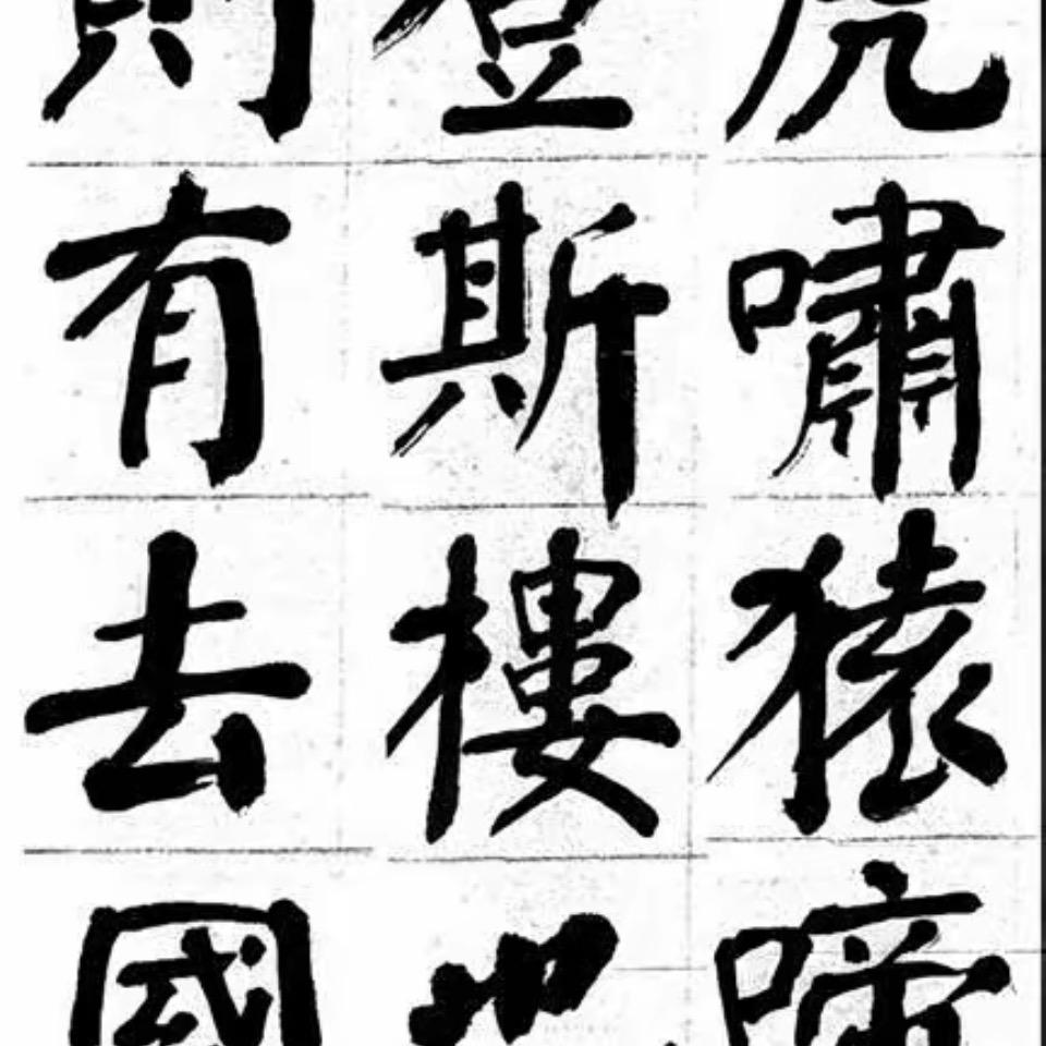白色普桑