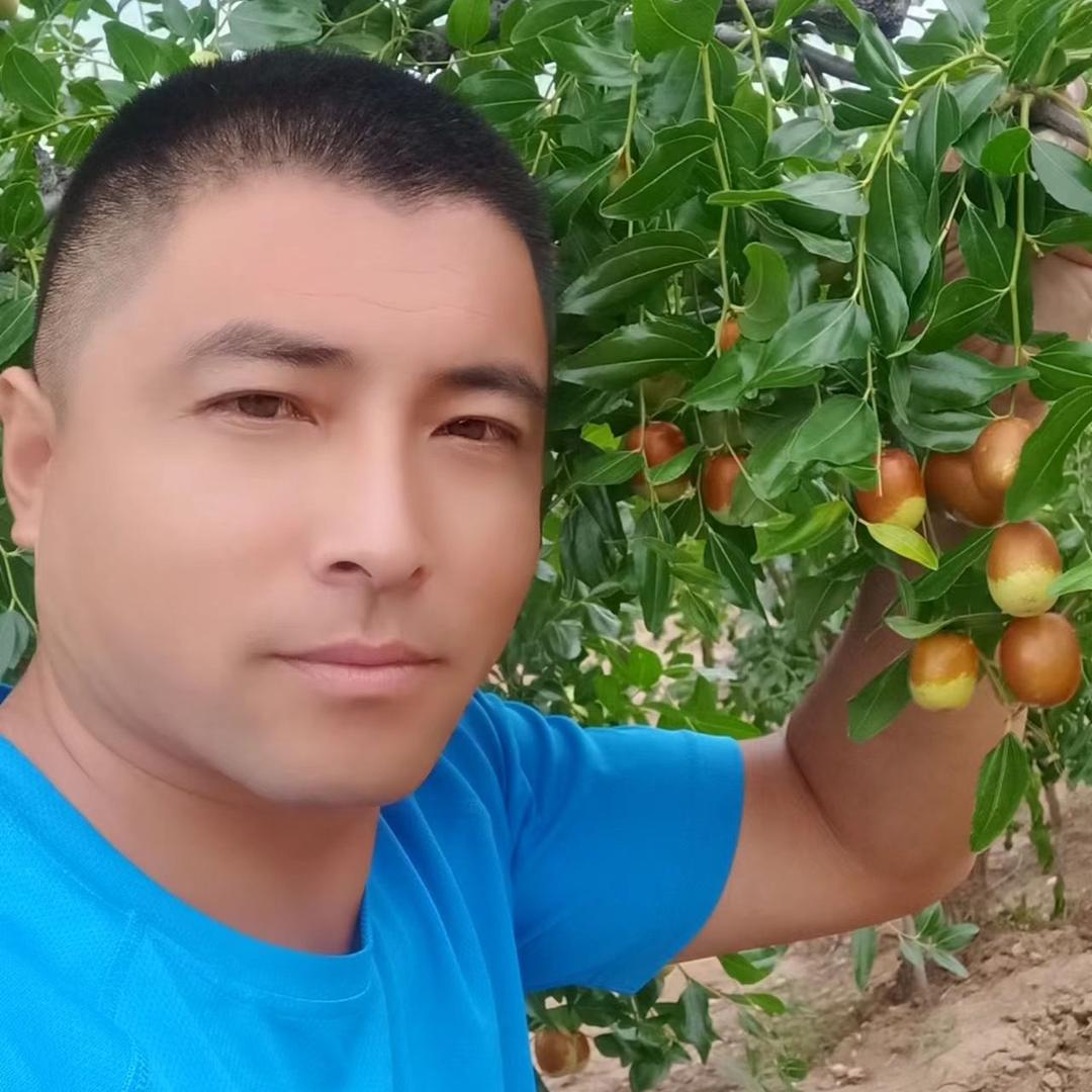 朝阳大枣土特产