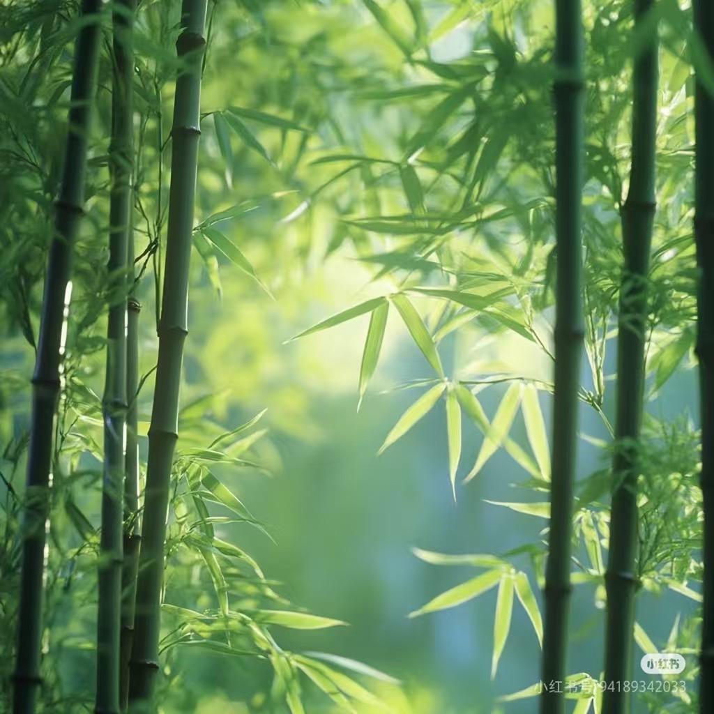 L顺其自然
