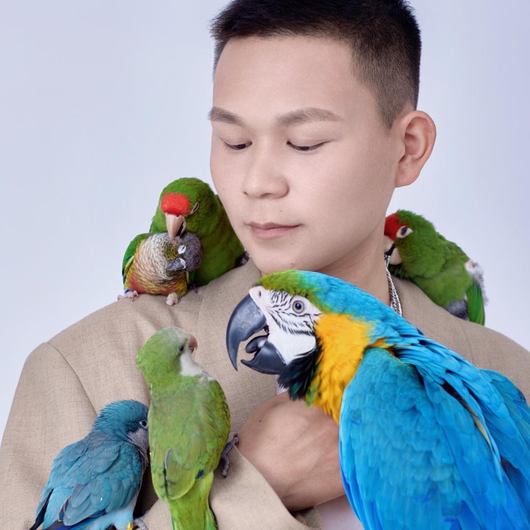 小鸟不丢🦜