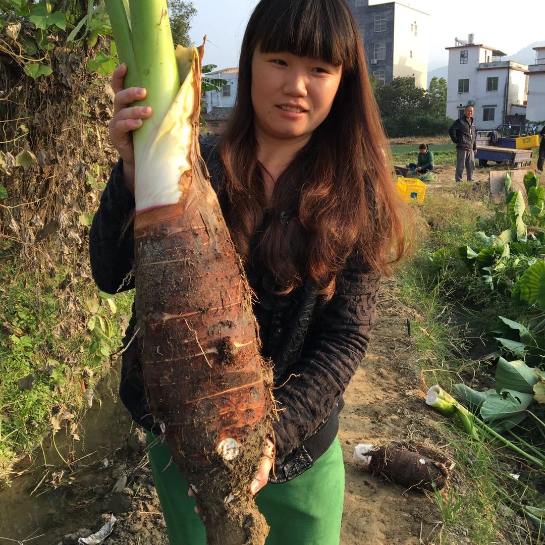 灵溪农业小惠姐