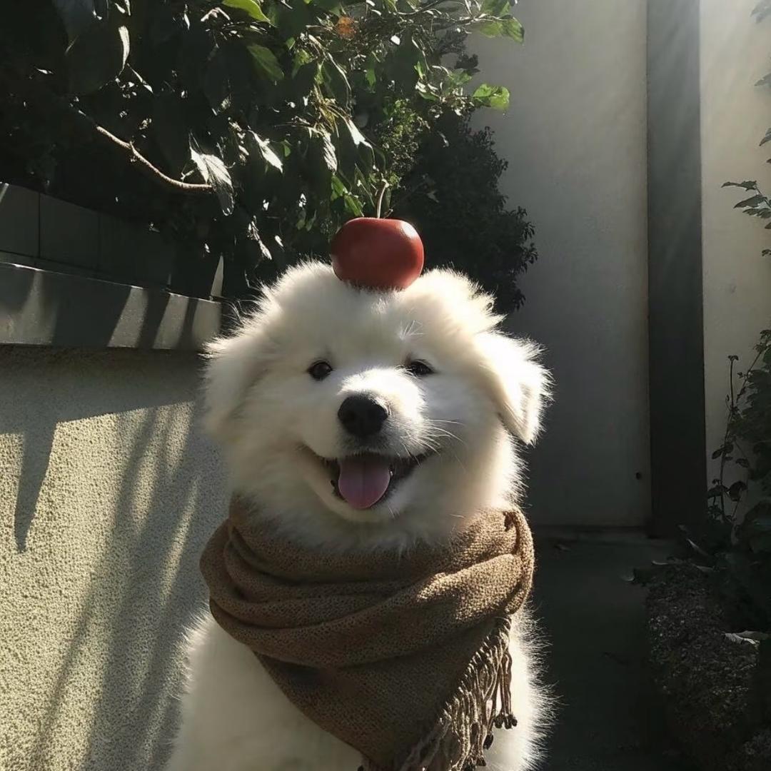 忙忙忙忙