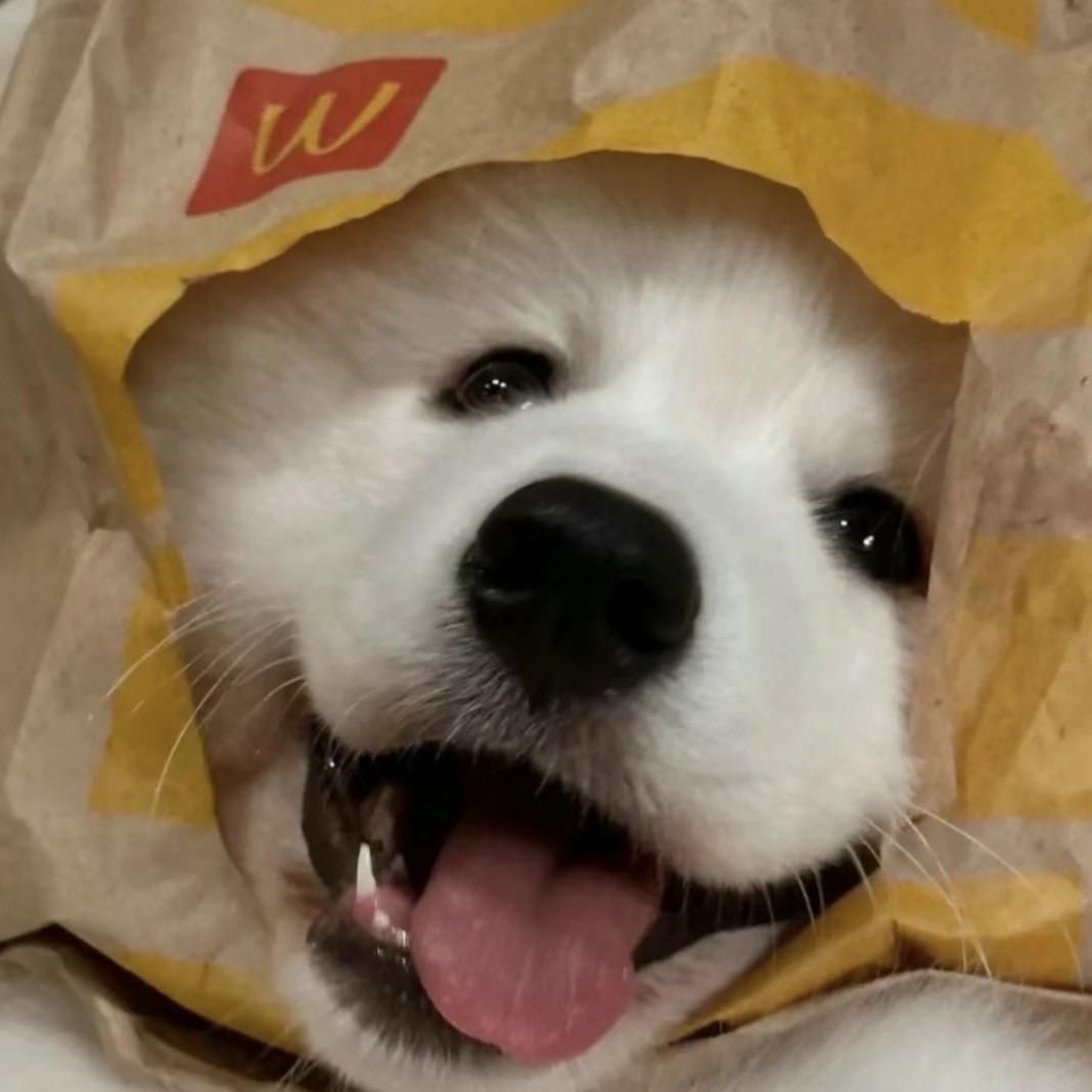 陨落.