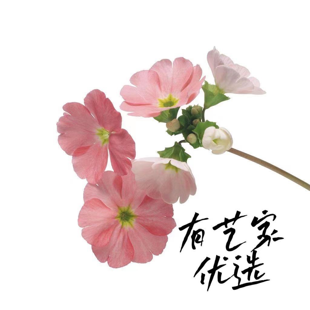 有艺家优选