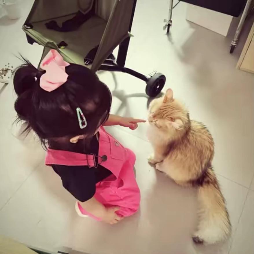 夢见妳