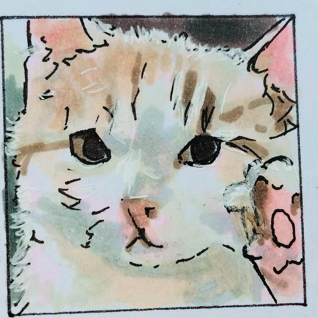 蛇蛇蛇蛇蛇