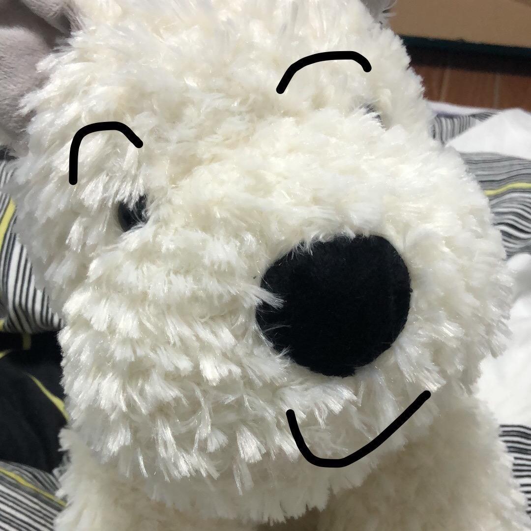 迷你世界小衡（反mc