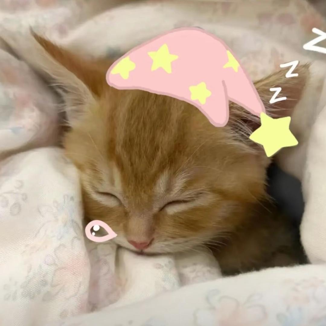 熟睡的丈夫