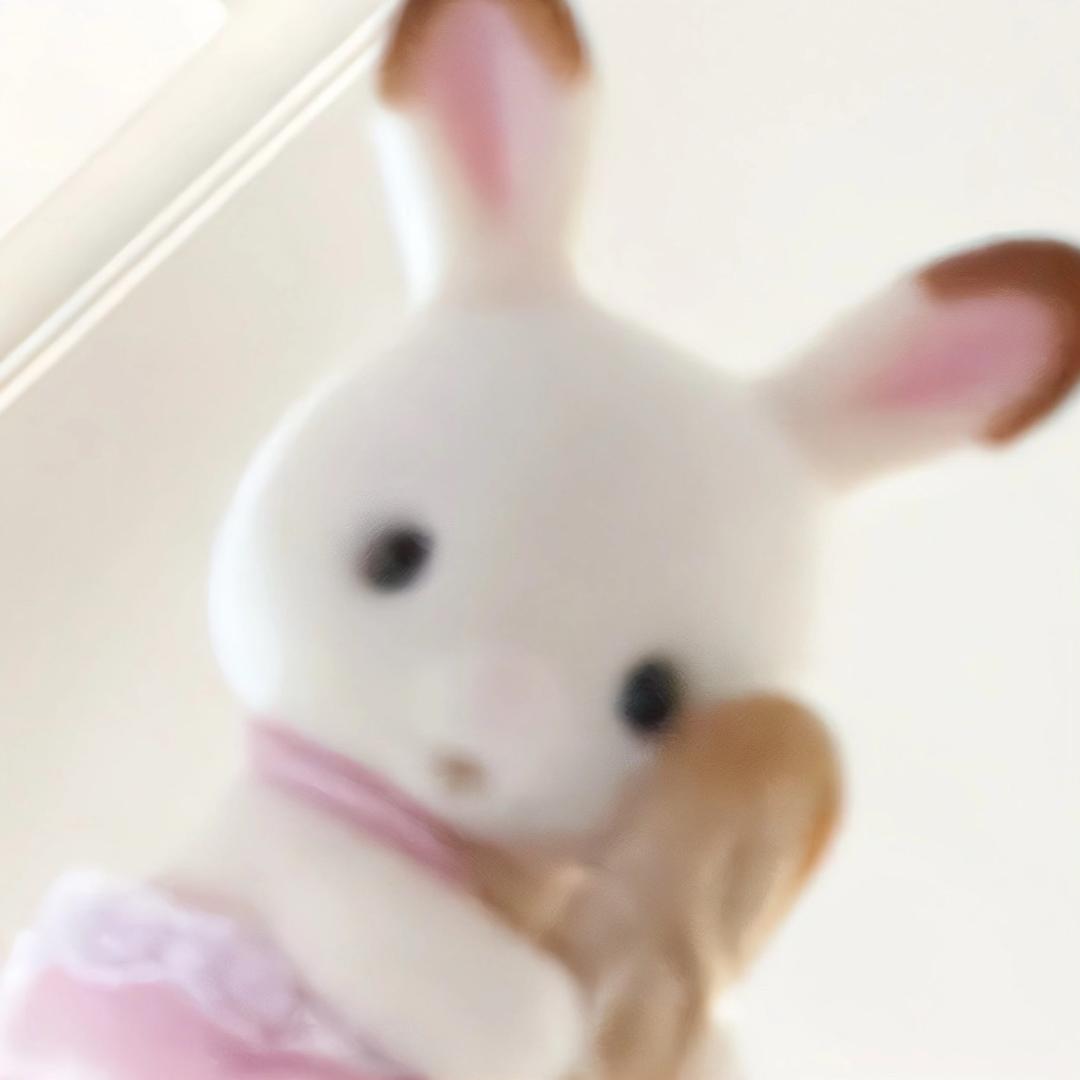 甜狗吃碗大米饭