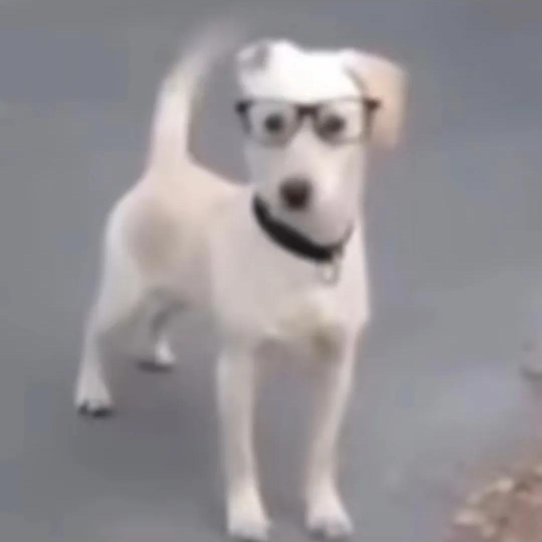 白白白白白
