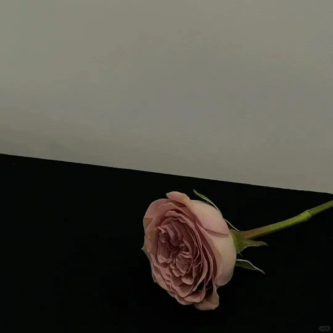 ../