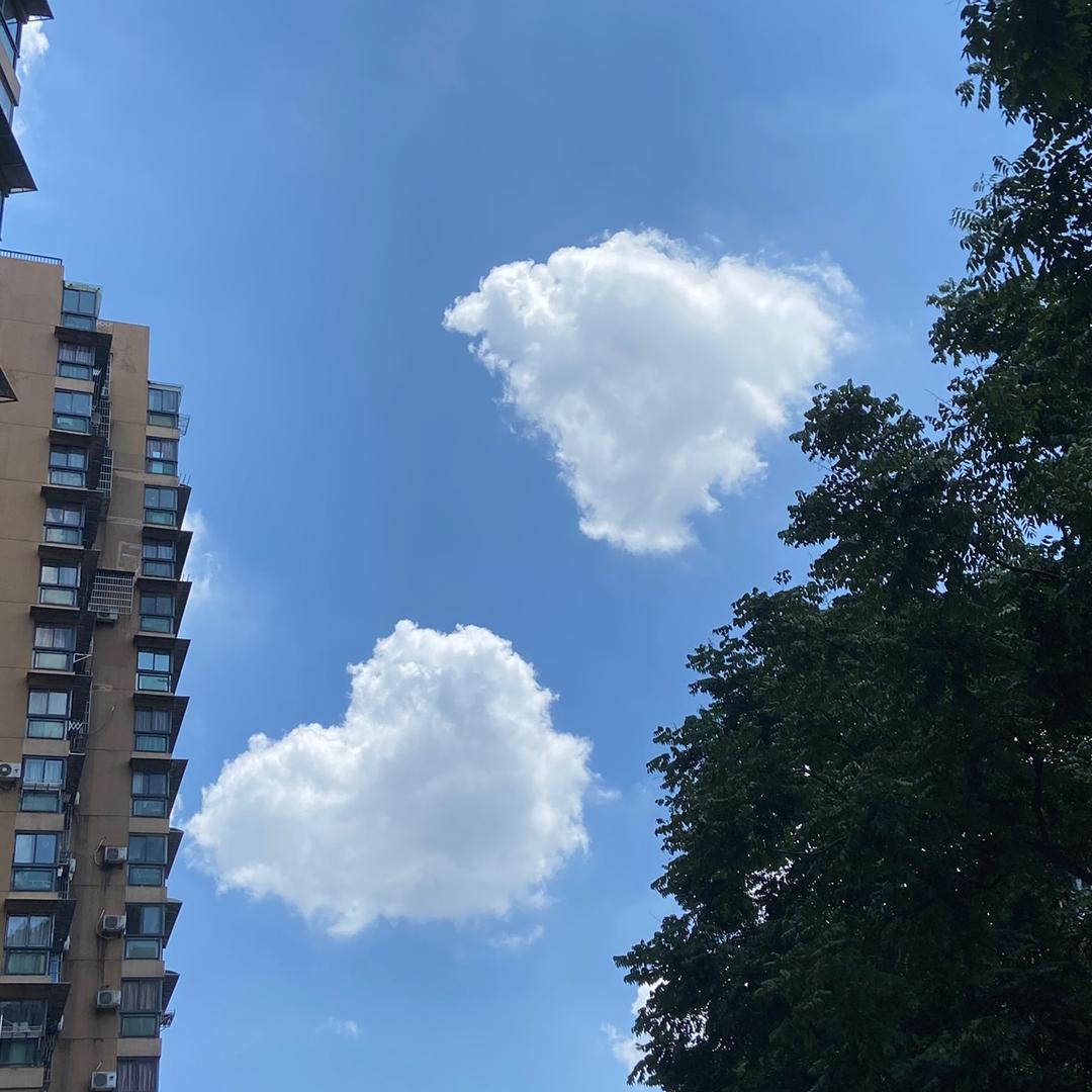 太热不吃饭