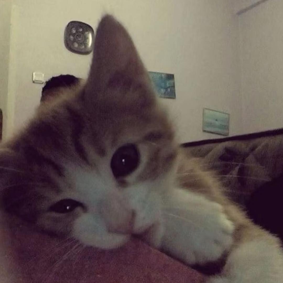 G^u^o