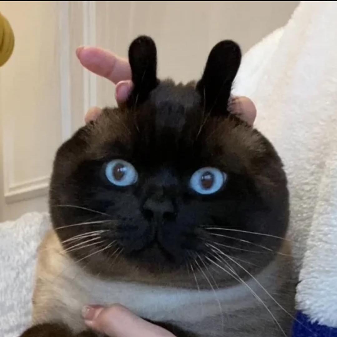 一天有365个祝福