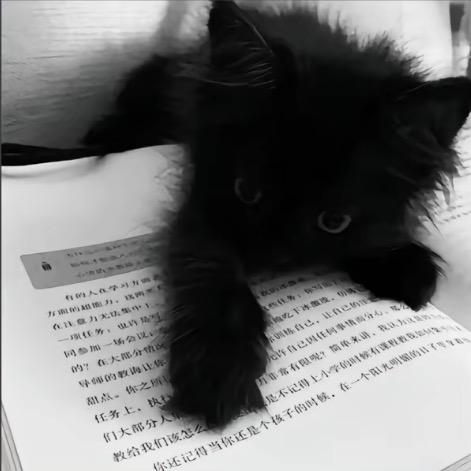 菠萝包＾