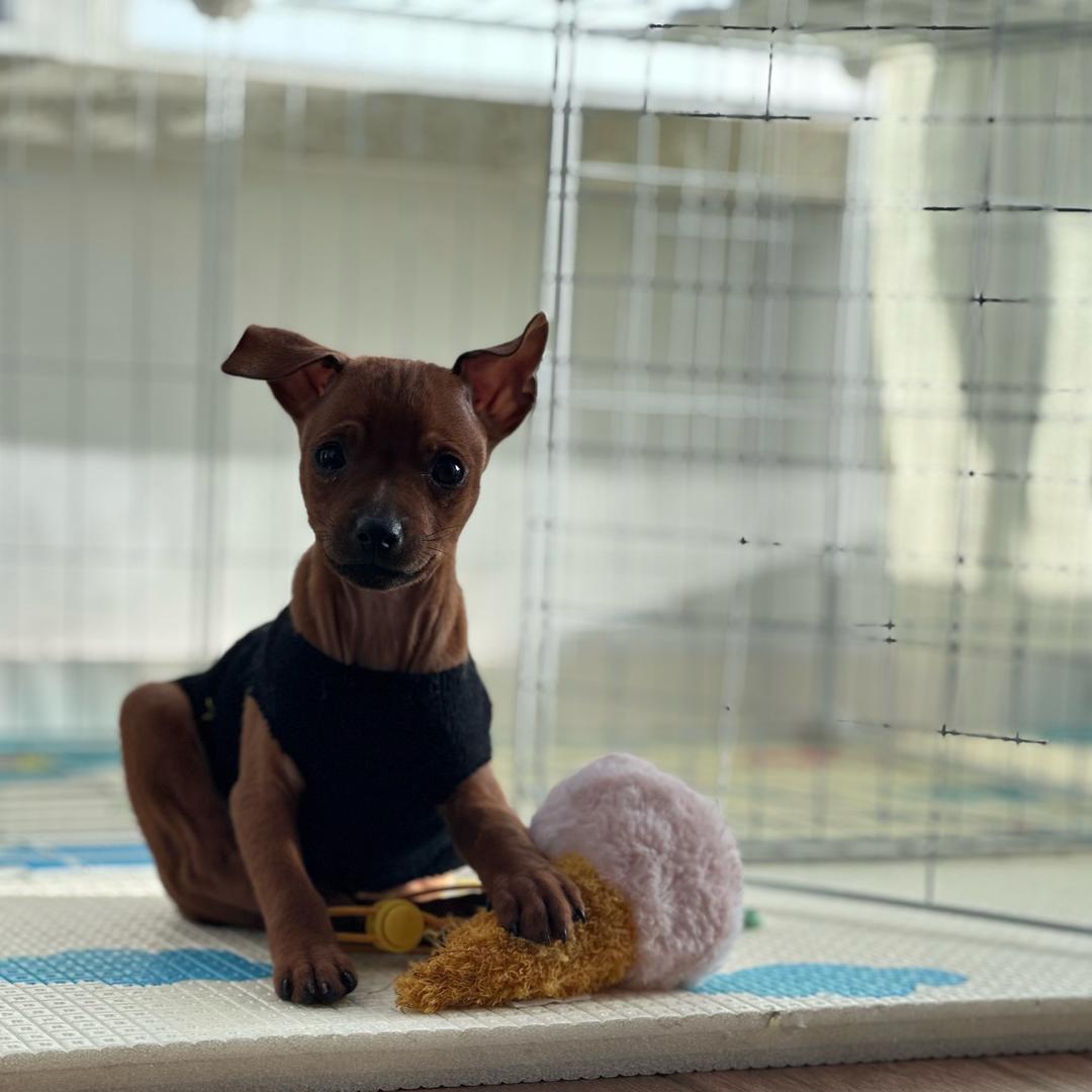我🈶咖啡🐕