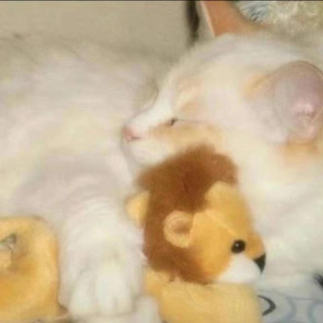 🎧ྀིྀིྀིྀིྀི