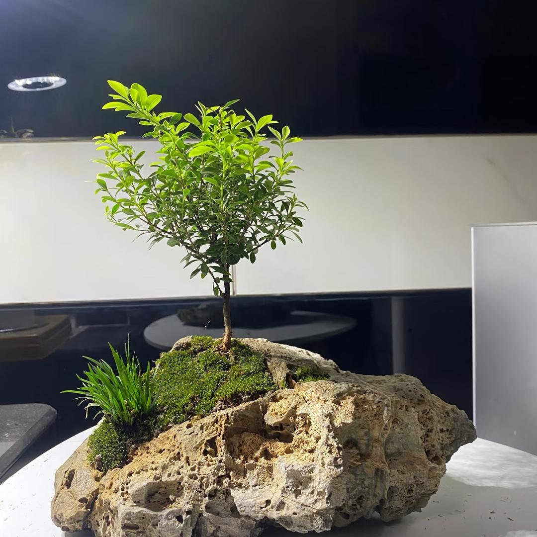 咸蛋瘦肉粥