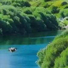 云飞师兄