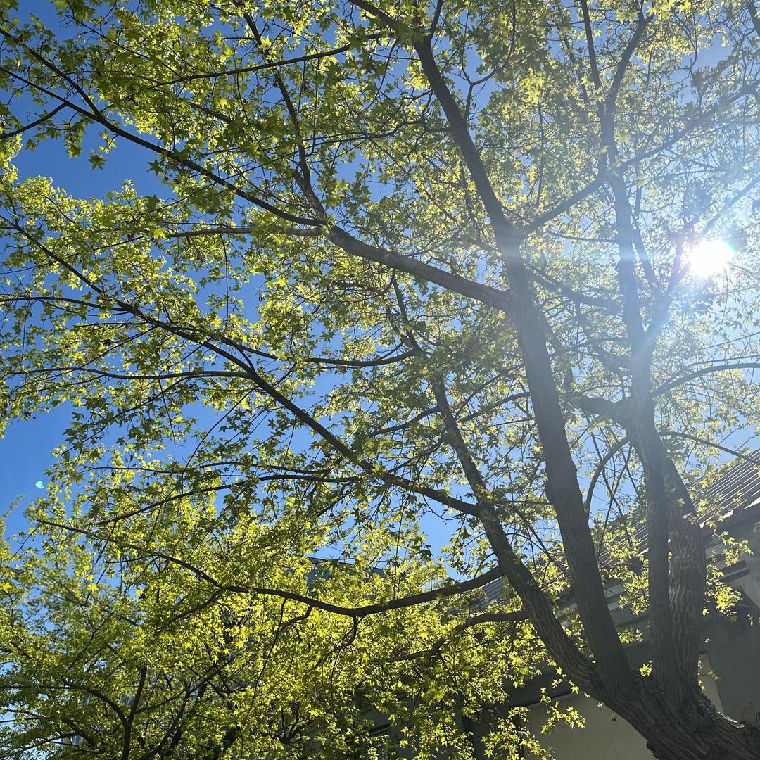 ？？？？？？？