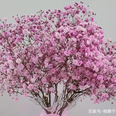 故事的配角