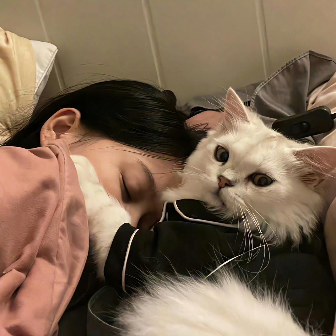 明天见..