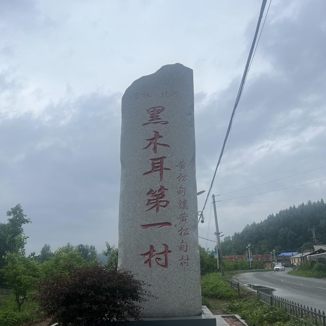黑土焱康