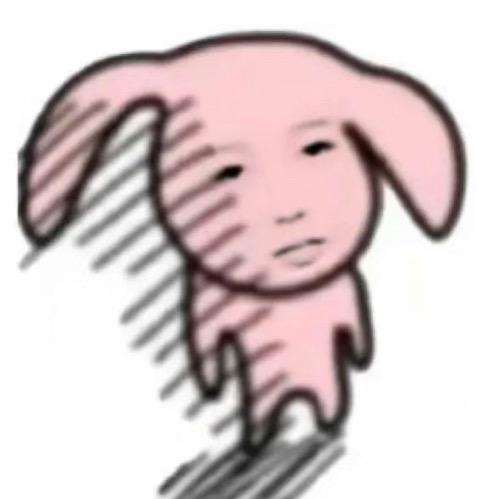 迷人石榴辅导作业