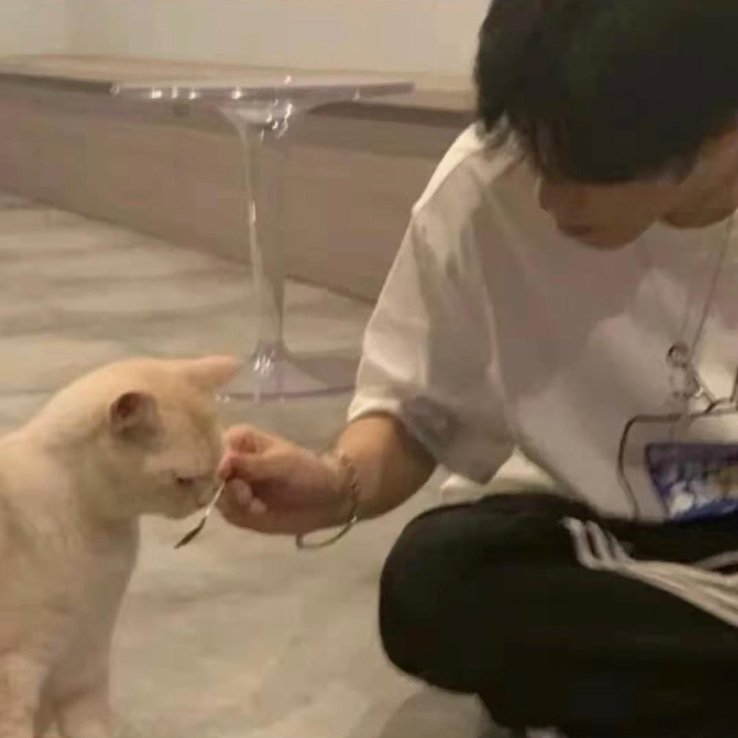 深圳第一深情
