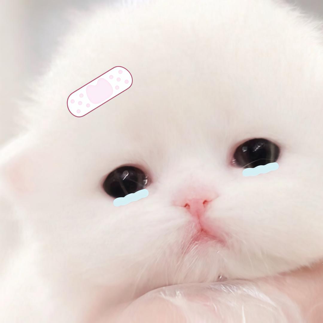 萌新