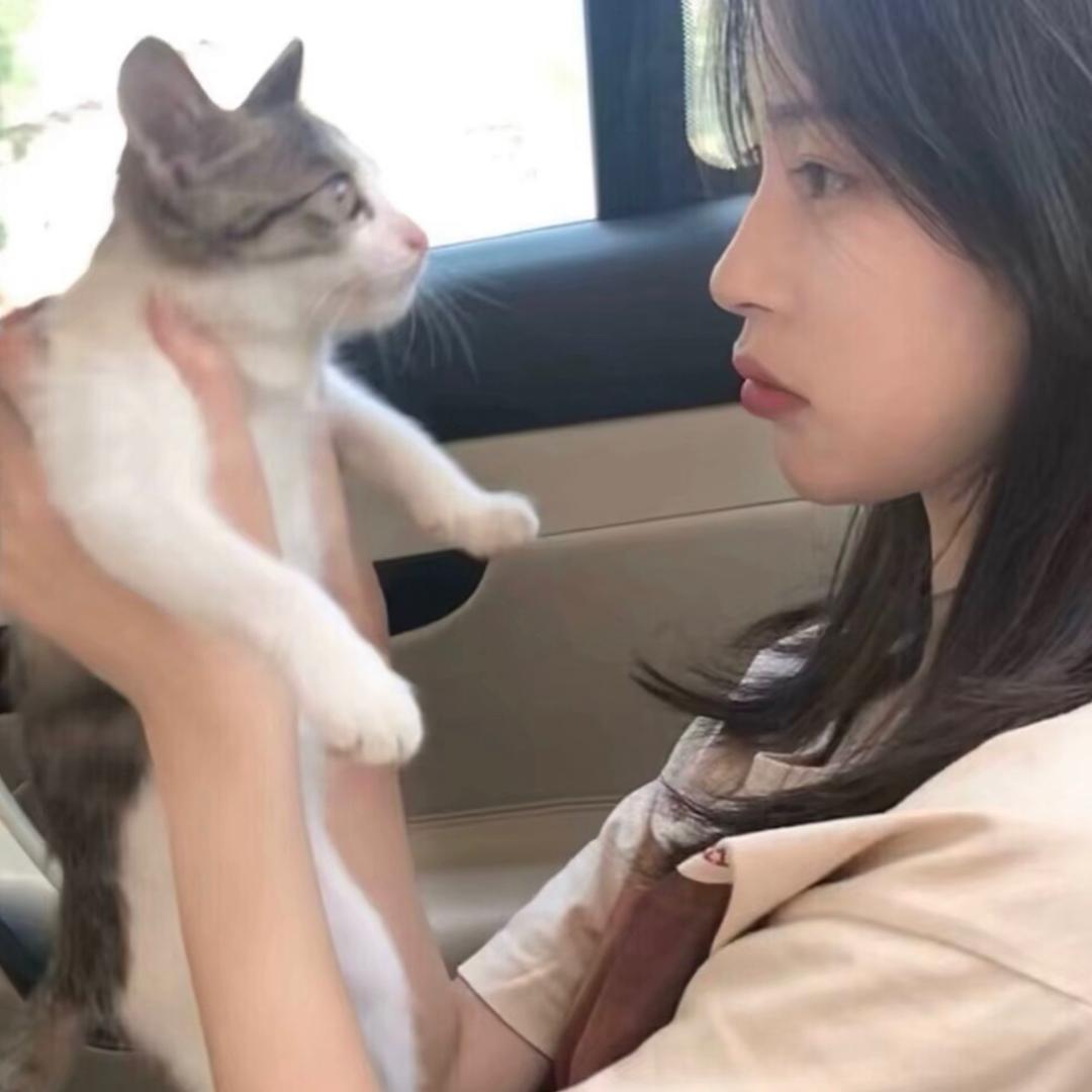 真的好多鱼
