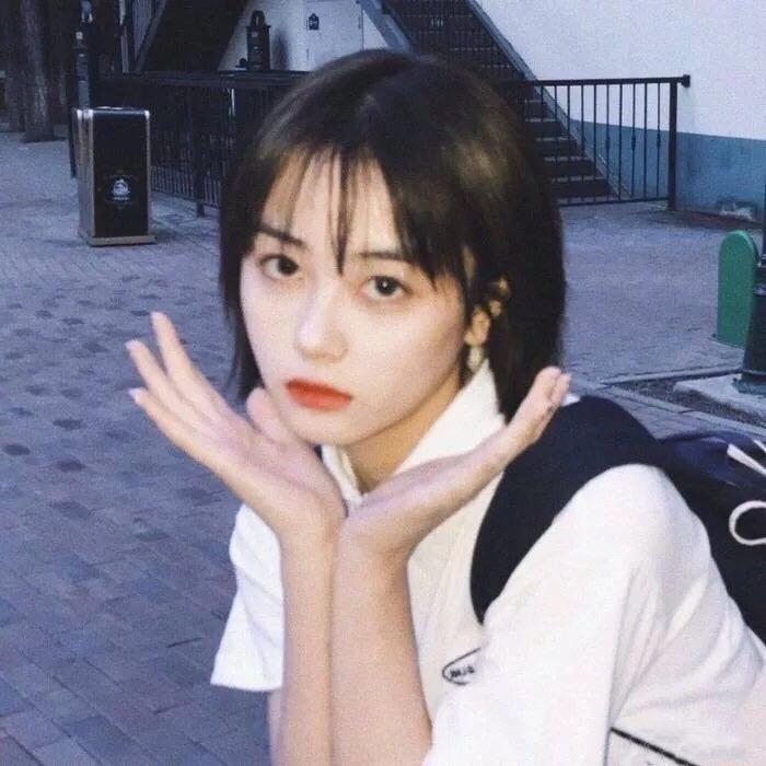 屁屁小仙🥕