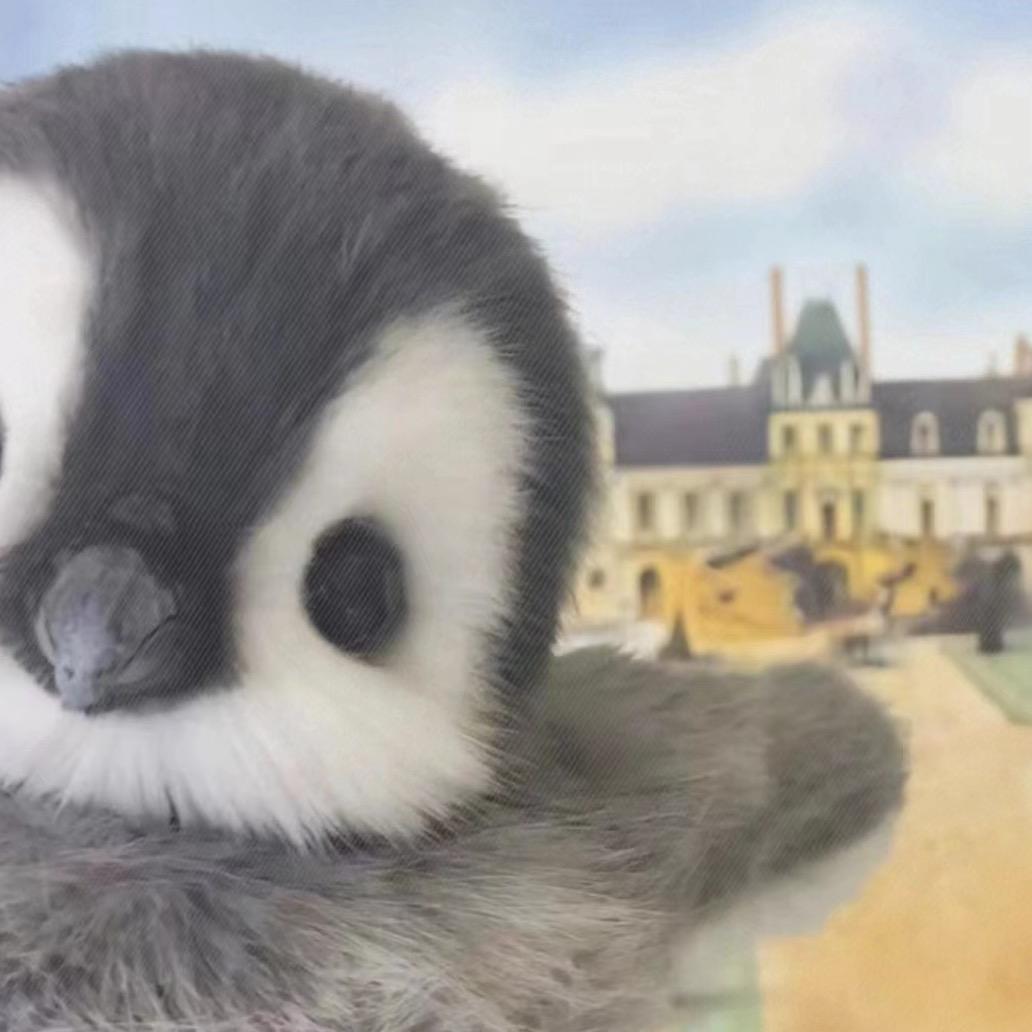 伍喜欢你呐（娜）💕