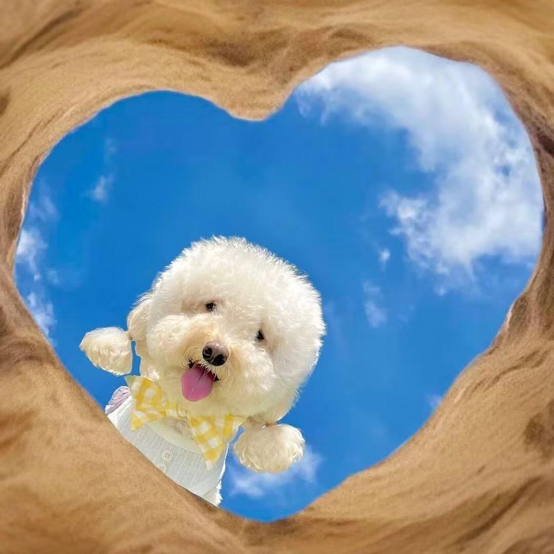 小李的小李❤️