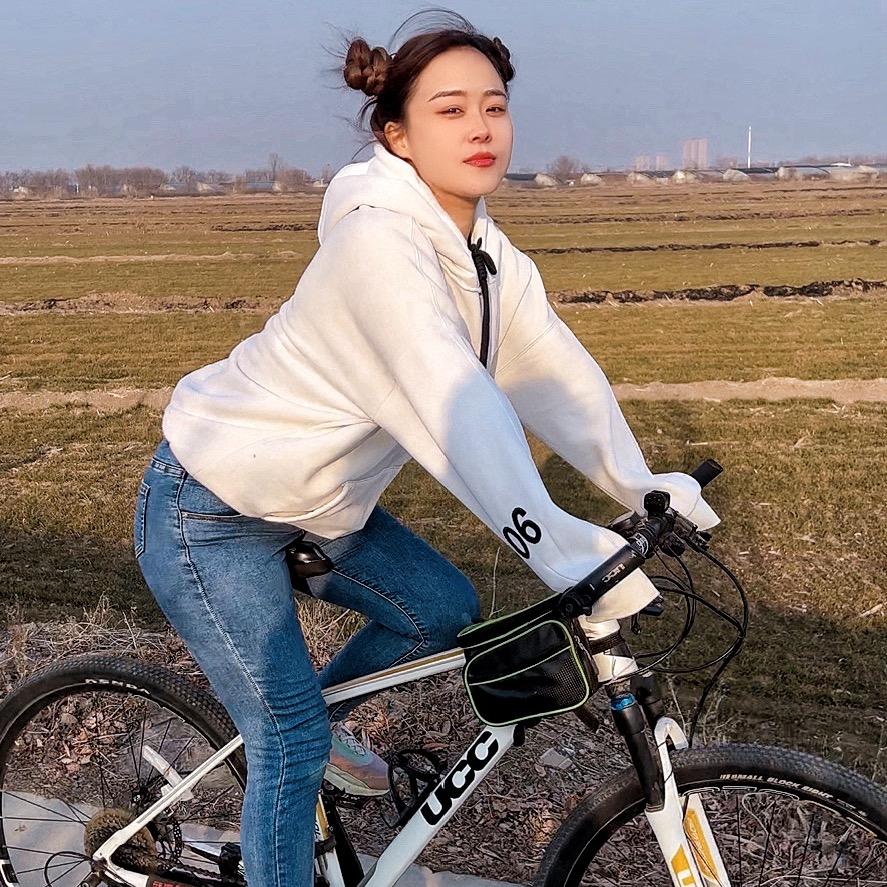 张三三的杜宾