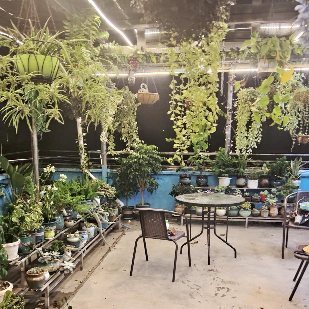 日常分享种植心得