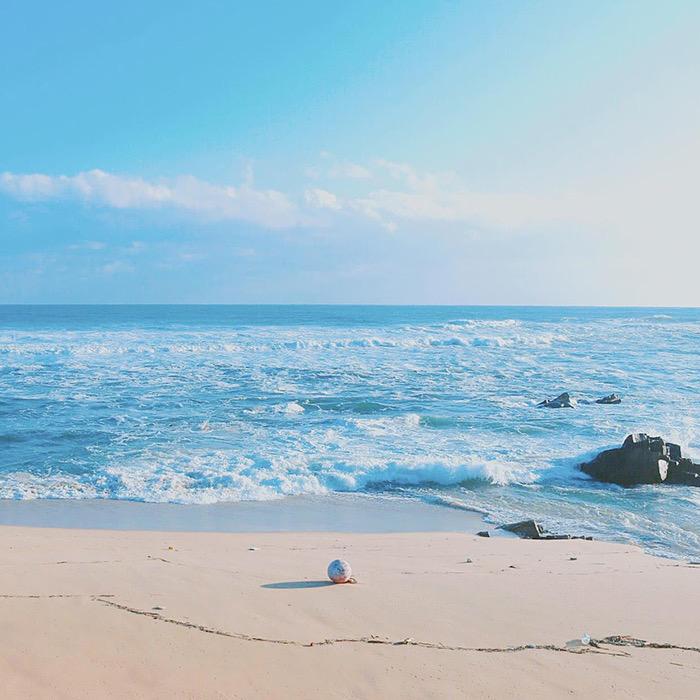 尼先生