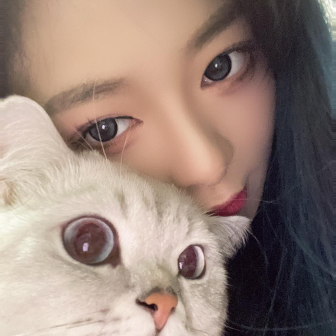 杨圈圈