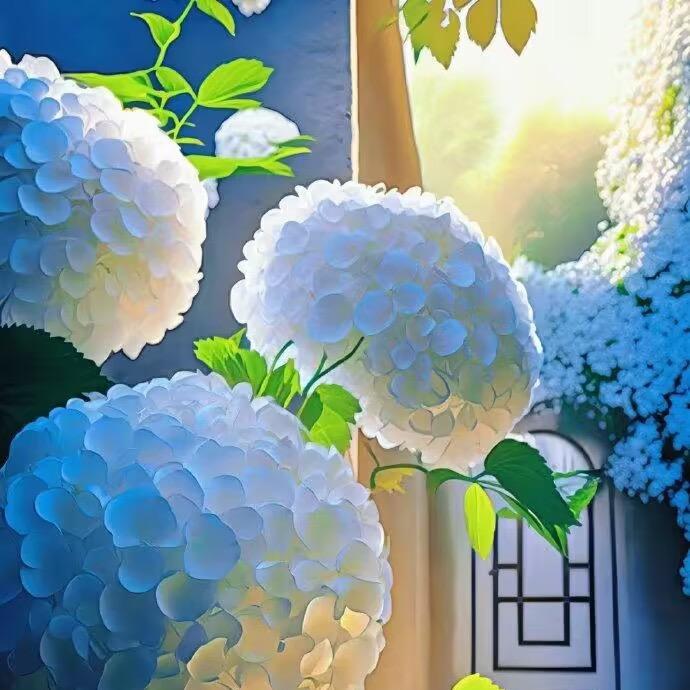 小陶子花卉
