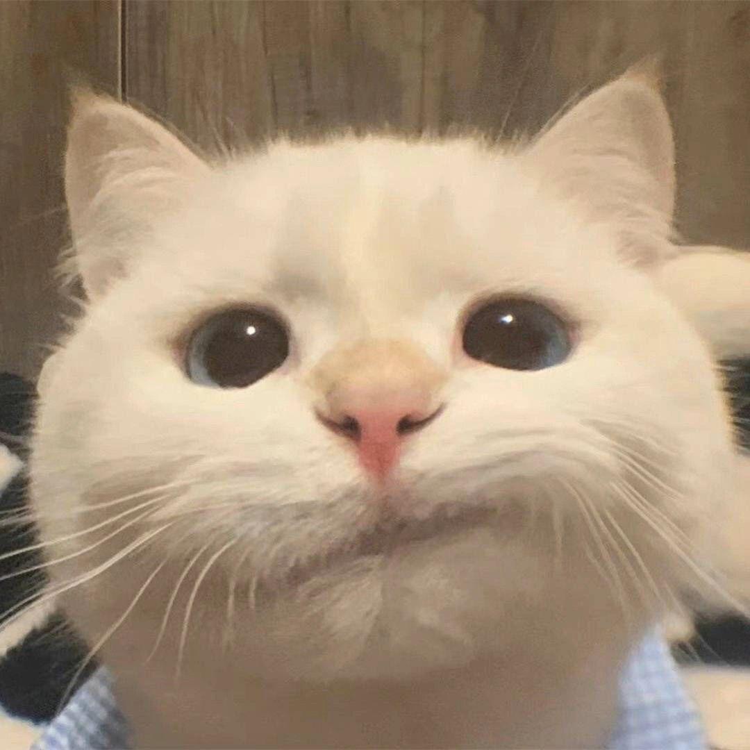 彤.