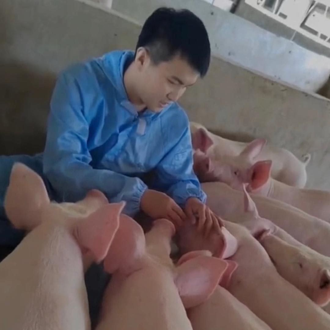 养猪人锅哥
